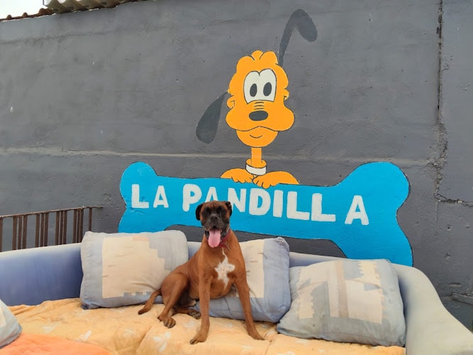 Negocio Hotel Canino La Pandilla