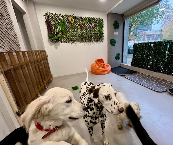 Negocio Hotel Canino Peek | Guardería Residencia
