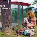 Hotel Canino Pinar Del Rey – Guardería Canina en Rovigo