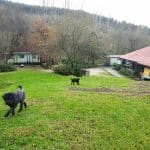 Hotel Canino Tatinejos – Guardería Canina en Cantabria