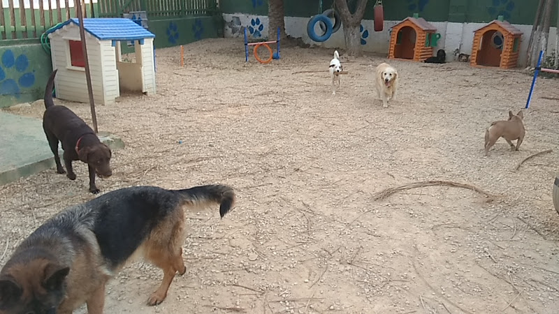 Negocio Huellas Y Manchas
