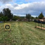 Incan Educación Canina – Guardería Canina en Inca
