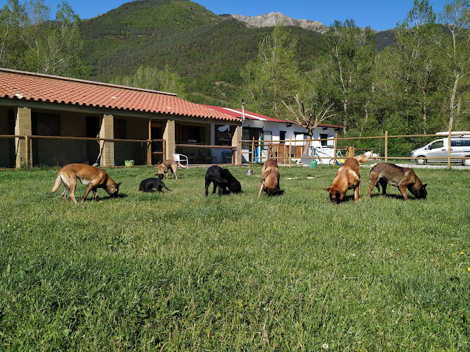 Negocio Instints Barravés