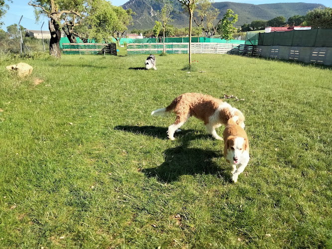 Negocio Kan-Gurea