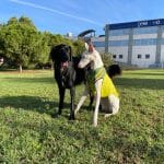 Keep Can Mallorca – Guardería Canina en Cas Binissalamer