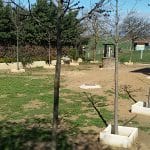 Kilamas – Guardería Canina en Las Torres