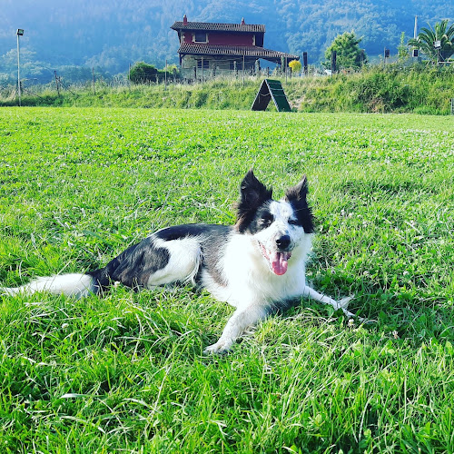 Negocio Kireba