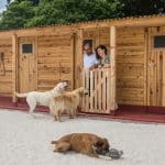 La Cabaña De La Zarpa – Guardería Canina en Oza-Cesuras