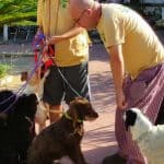 La Comuna Canina – Guardería Canina en Sanlúcar la Mayor