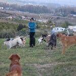 La Huella Azul – Guardería Canina en Cártama