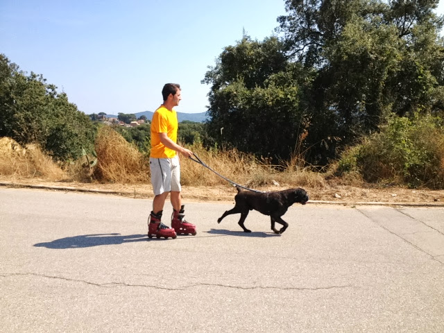 Negocio La Masia / Centro Canino La Masia