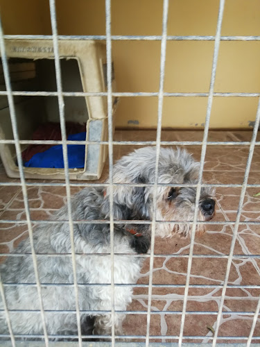 Negocio La Pinada