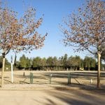 La Pradera Residencia Canina En Valencia – Guardería Canina en Godelleta