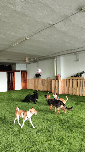 La Trufa - Educación Canina