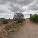 Las Nubes – Guardería Canina en Badajoz