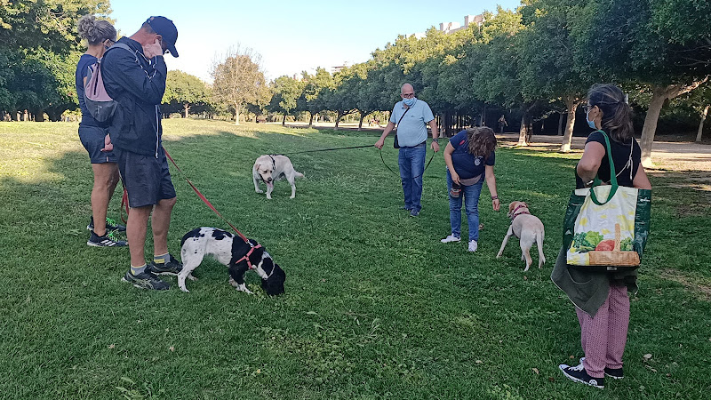 Negocio Laykán Educación Canina