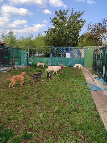 Negocio Luan Residencia Canina