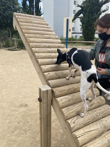 Lucky Dog Training
