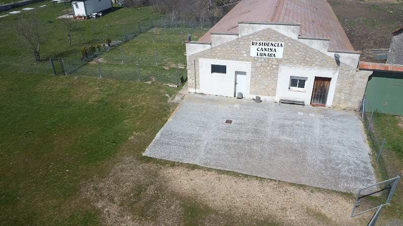 Negocio Lunava Residencia Canina
