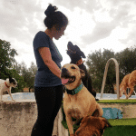 Maducan - Educador Canino / Guardería Canina – Guardería Canina en Carabanchel