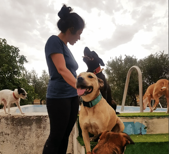 Negocio Maducan - Educador Canino / Guardería Canina