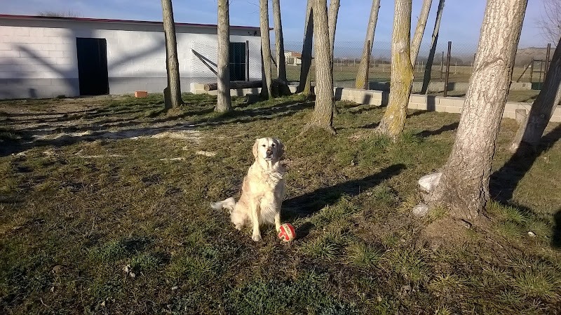 Mascocamping Residencia Canina