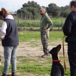 Maxis K9 – Guardería Canina en Sencelles