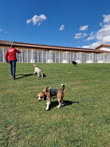 Negocio Mendixurbe Hotel Canino