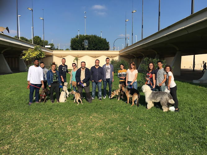 Negocio Mimomimascota Del Educador Canino Nacho Roca