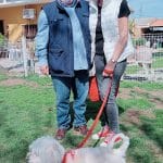 Mis Mascotas – Guardería Canina en Dos Hermanas