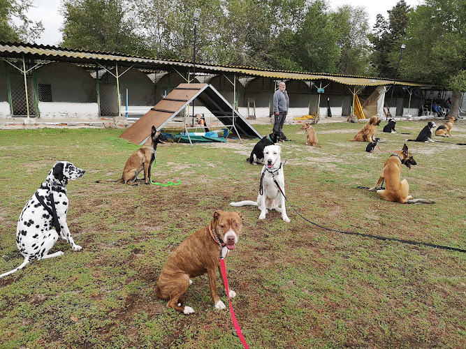 Mundocan Residencia Canina