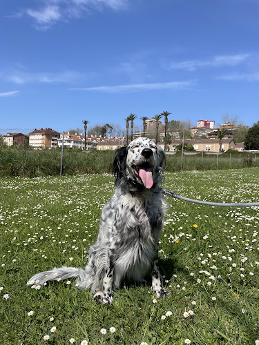 Negocio Mundog