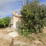 Nogalcan – Guardería Canina en Alcañiz