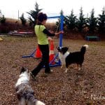 Nudacan Navarra – Guardería Canina en Lodosa