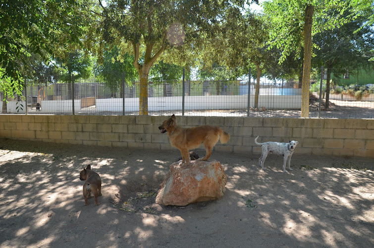 Oficina Granja La Luna Residencia Canina Para Perros Gatos En Madrid