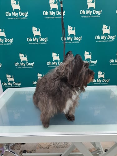 Negocio Oh My Dog! Peluquería, Boutique Y Guardería Canina Y Felina