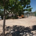 Olfacanes – Guardería Canina en Sevilla