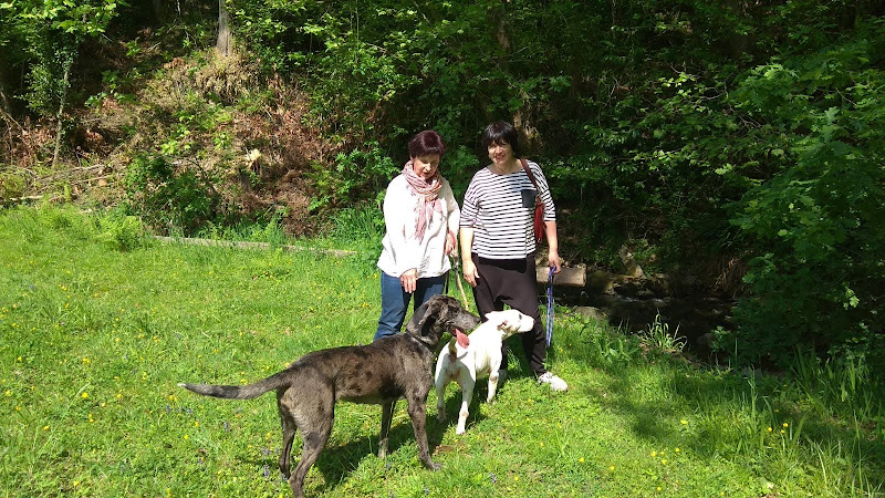 Negocio Orekan Borda . Txakur Egoitza - Residencia Canina
