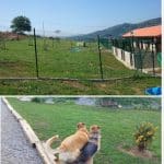 Ovi-Can – Guardería Canina en Oviedo