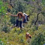 Paseo A Tu Perro – Guardería Canina en Loredo