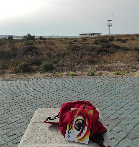 Negocio Paseo Marítimo Almerimar
