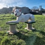 Pasioncan - Educación Canina – Guardería Canina en Camargo