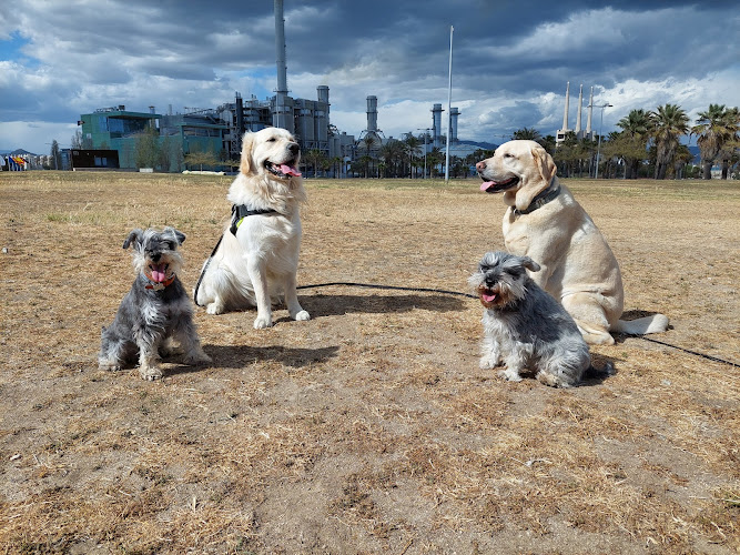 Negocio Perros&Cia