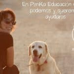 Perruneando Madrid Centro – Guardería Canina en Madrid