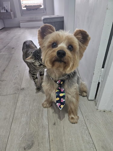 Petcenterleal