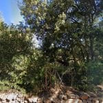 Popis – Guardería Canina en Illes Balears