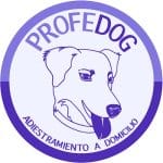 Profedog Adiestrador Canino A Domicilio – Guardería Canina en Alacant