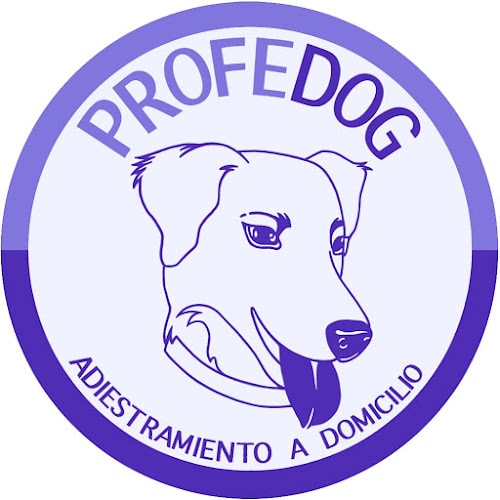 Profedog Adiestrador Canino A Domicilio