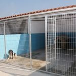 Ralc, Residència Animal La Canonja – Guardería Canina en La Canonja