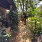 Residencia Canina Animalandia – Guardería Canina en Campos